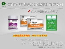 深耕禽藥市場(chǎng)，把握代理機(jī)遇 從鴨藥到品牌的全方位指南